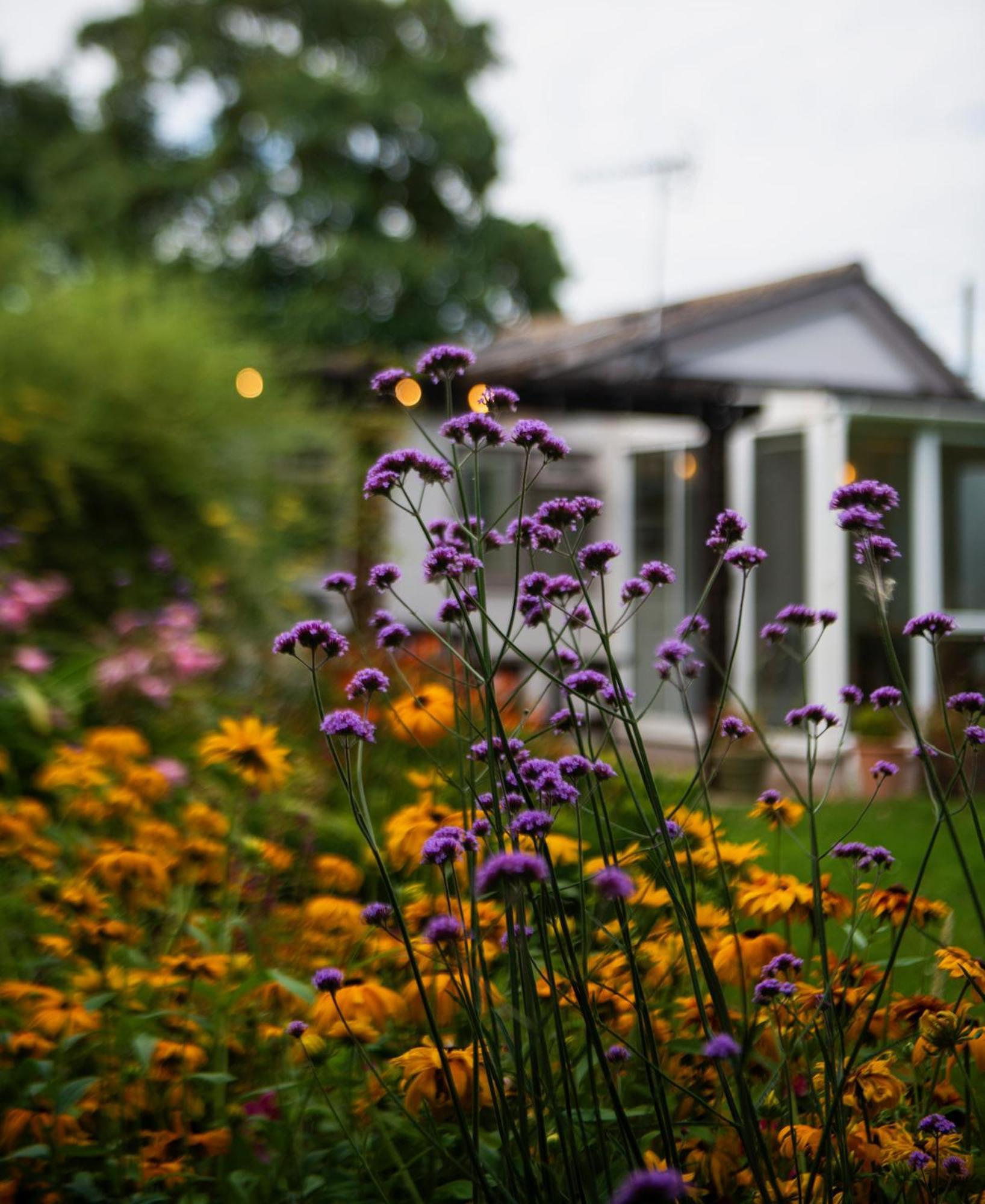 Holiday home Peaceful, Country Setting In Suffolk, Near Coast